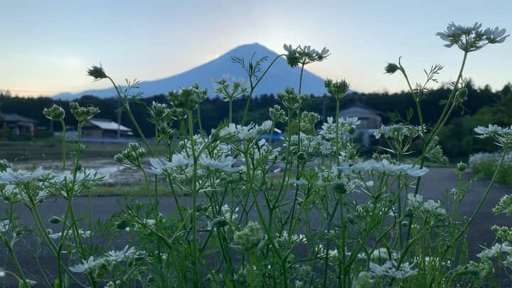 phantastic420のインスタグラム：「. 🤩🤩“Shizuoka” prefecture in Japan is a place where you can see the most “phantastic” Mt. Fuji🗻 in the world.🤩 #富士山 #mtfuji #japan #shizuoka #fujinomiya  #phantastic420photography #mostphantasticmtfuji #selamatpagi  #goodmorning  #おはようございます 😇😇😇😇😇😇😇🗻😇😇 やっと見えました🗻😅」