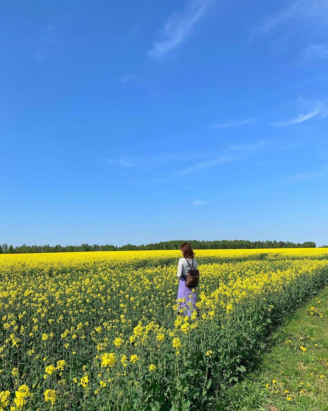 karen okajimaさんのインスタグラム写真 - (karen okajimaInstagram)「ㅤㅤㅤ ㅤㅤㅤ リトアニア🇱🇹 菜の花畑綺麗💛💛💛💛 十字架の丘すごかった😳 ストーリーに載せてます❣️ ㅤㅤㅤ #リトアニア #Lithuania #リトアニア観光#🇱🇹 #おかじ旅行記 #岡島かれん #菜の花畑 #お花畑 #バルト三国 #ポーランド #ヨーロッパ #tabinikki #okaji_Europe #ヨーロッパ旅行  #海外旅行好きな人と繋がりたい #タビジョ」5月15日 22時40分 - karenokajima0318