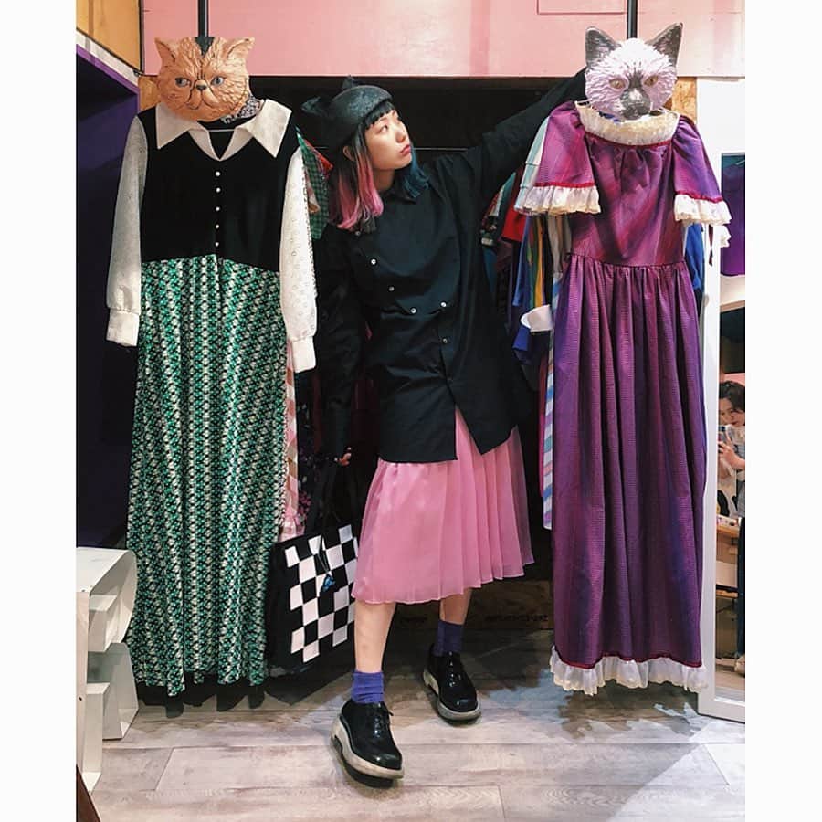 相羽瑠奈さんのインスタグラム写真 - (相羽瑠奈Instagram)「3匹の猫 🐱🐱🐱」5月16日 0時11分 - rone.runa
