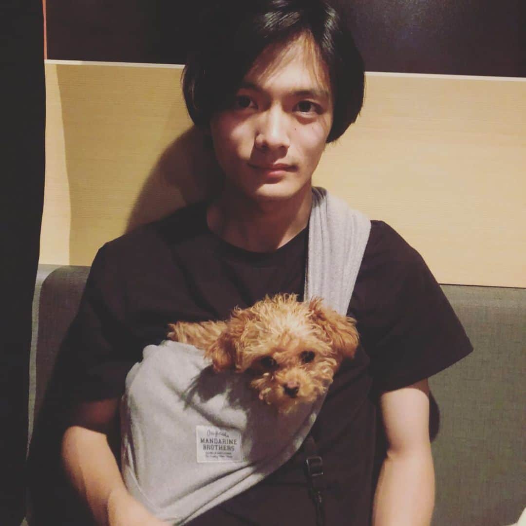 のインスタグラム：「ちゃちゃさん🐶」