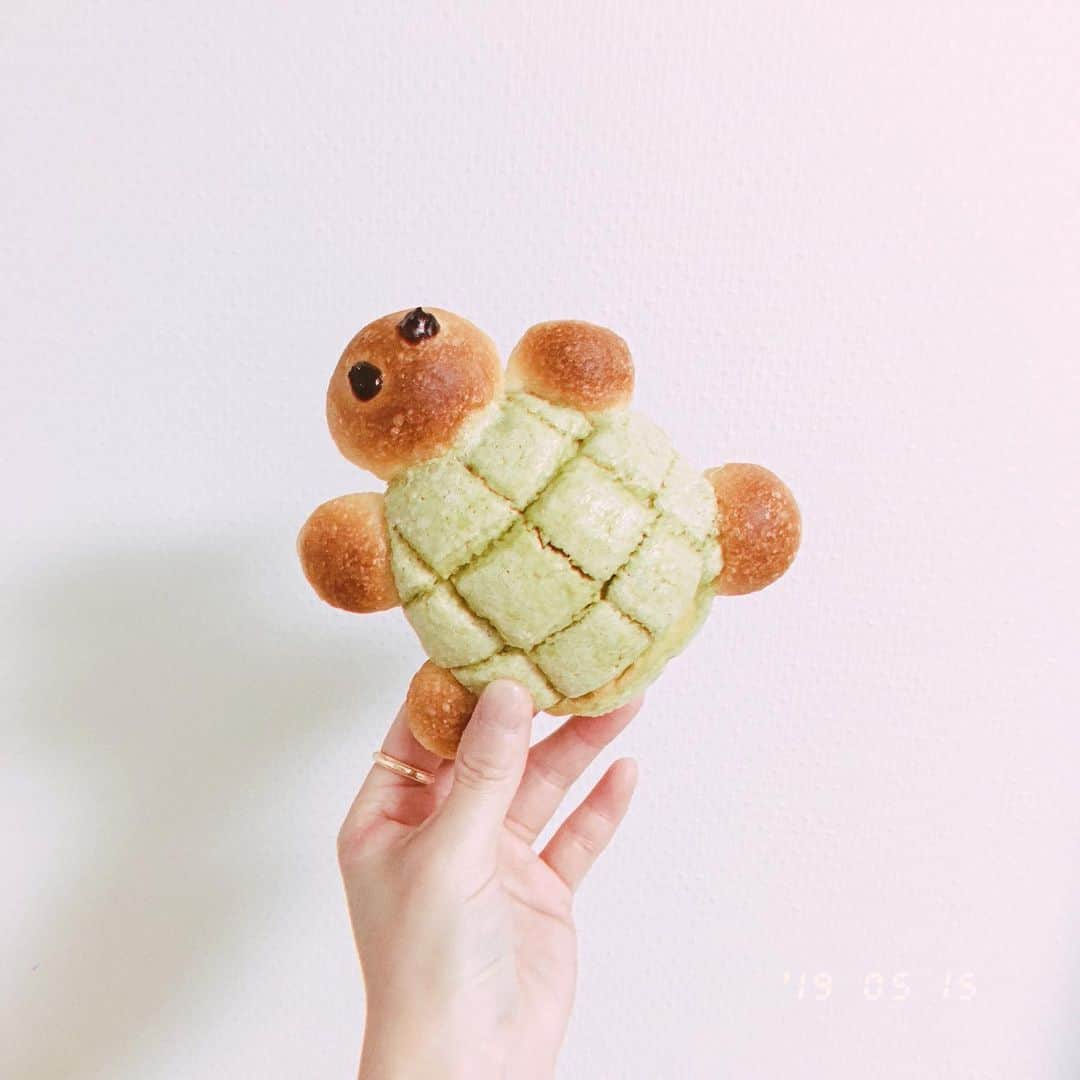 Nao☆ さんのインスタグラム写真 - (Nao☆ Instagram)「カーメーカーメー パーーーーーン💥🐢🍞」5月16日 0時31分 - nao_ngc