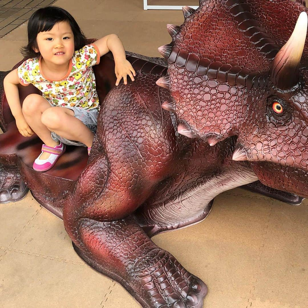 歩りえこさんのインスタグラム写真 - (歩りえこInstagram)「恐竜に乗るお姉ちゃん♪﻿ ﻿ #恐竜に🦕乗っていいイベント #恐竜﻿ #お姉ちゃん﻿ #歩りえこ﻿ ﻿」5月16日 0時47分 - riekoayumi