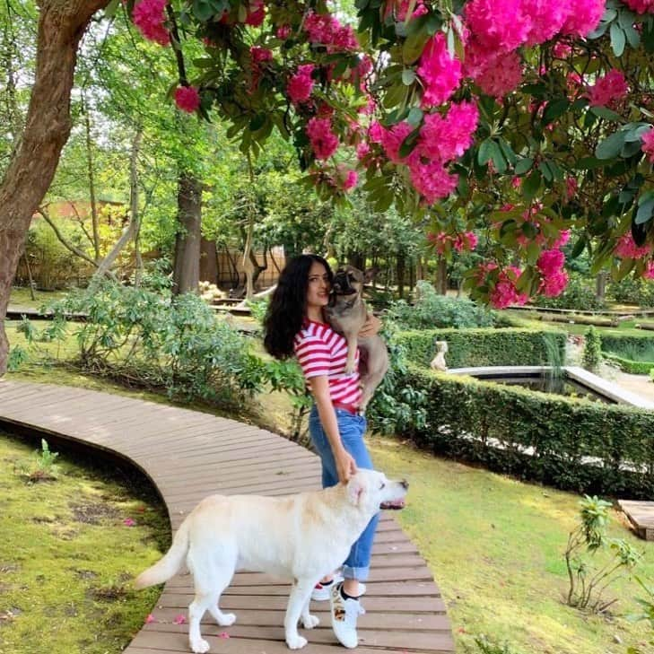 サルマ・ハエックさんのインスタグラム写真 - (サルマ・ハエックInstagram)「So glad to be back with my girls. Feliz de estar de regreso con mis niñas. 😍🥰😘🐾🐾🐾 #doglover」5月16日 0時43分 - salmahayek