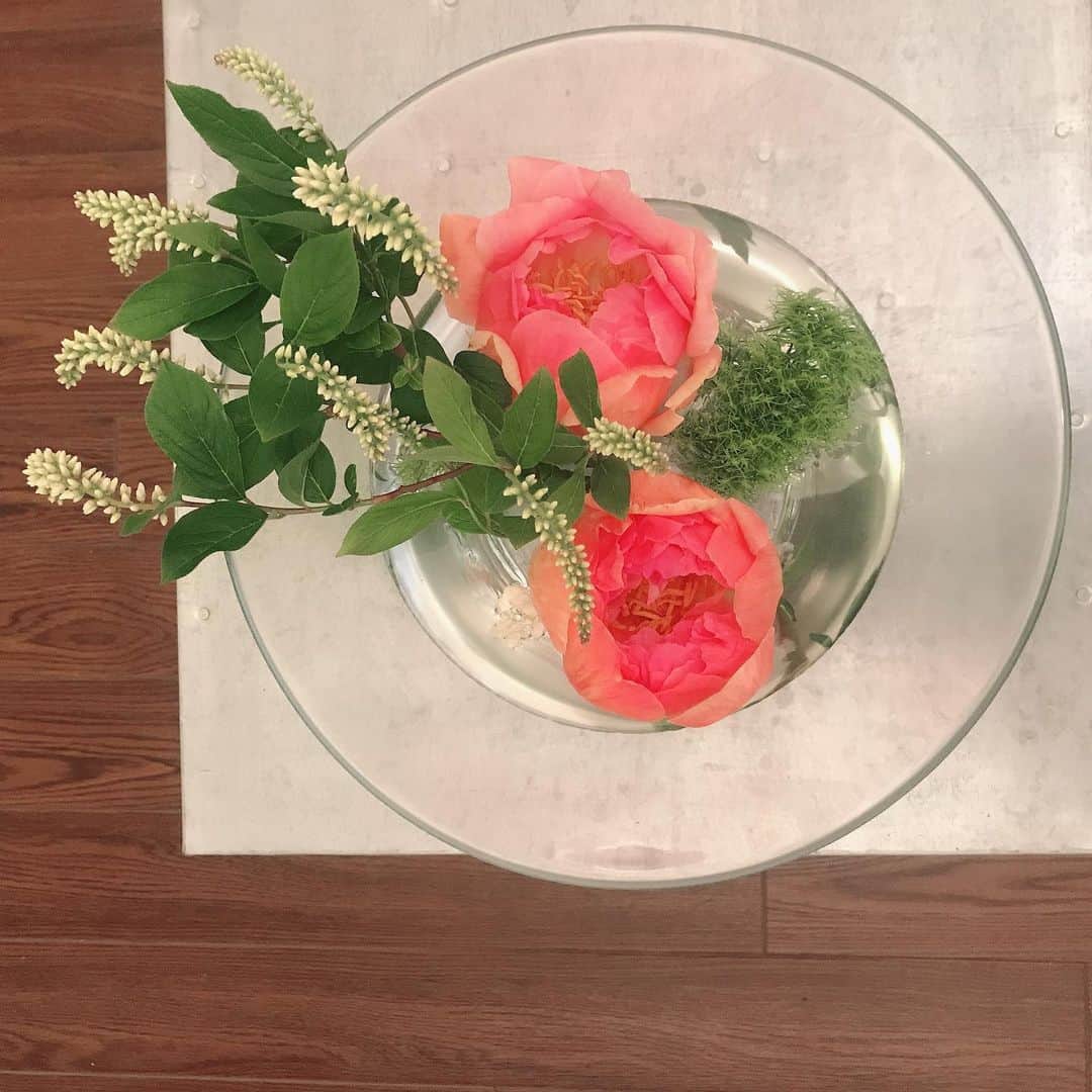 知念美加子さんのインスタグラム写真 - (知念美加子Instagram)「Thank you💕 ・ ・ いただいた芍薬❤️ 帰ってきて、「あ、花瓶全部沖縄だ」て気づいたけど、唯一残ってたこの子と相性ばっちり👌❤️ ・ ・ ・ @miumiupurin ありがと❤️ ・ ・ ・ ・ #お花のある暮らし #flower #芍薬 #かわいい #ちねん花」5月16日 0時58分 - chinenmikako