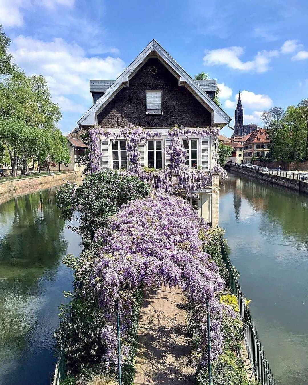 ELLE DECORさんのインスタグラム写真 - (ELLE DECORInstagram)「A warm wisteria welcome at Petite France in Strasbourg. 🌸#regram 📸: @tonyrammath」5月16日 1時36分 - elledecor