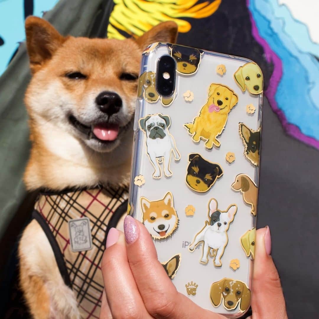 VELVETCAVIARさんのインスタグラム写真 - (VELVETCAVIARInstagram)「*takes selfie* ⠀⠀⠀⠀⠀⠀⠀⠀⠀ Felt cute, probably won't delete later IDK.⠀⠀⠀⠀⠀⠀⠀⠀⠀ ⠀⠀⠀⠀⠀⠀⠀⠀⠀ Our Dog Clear Case is available in iPhone and Samsung. Get yours @velvetcaviar. #velvetcaviar #dogs #dogsofinstagram」5月16日 3時02分 - velvetcaviar