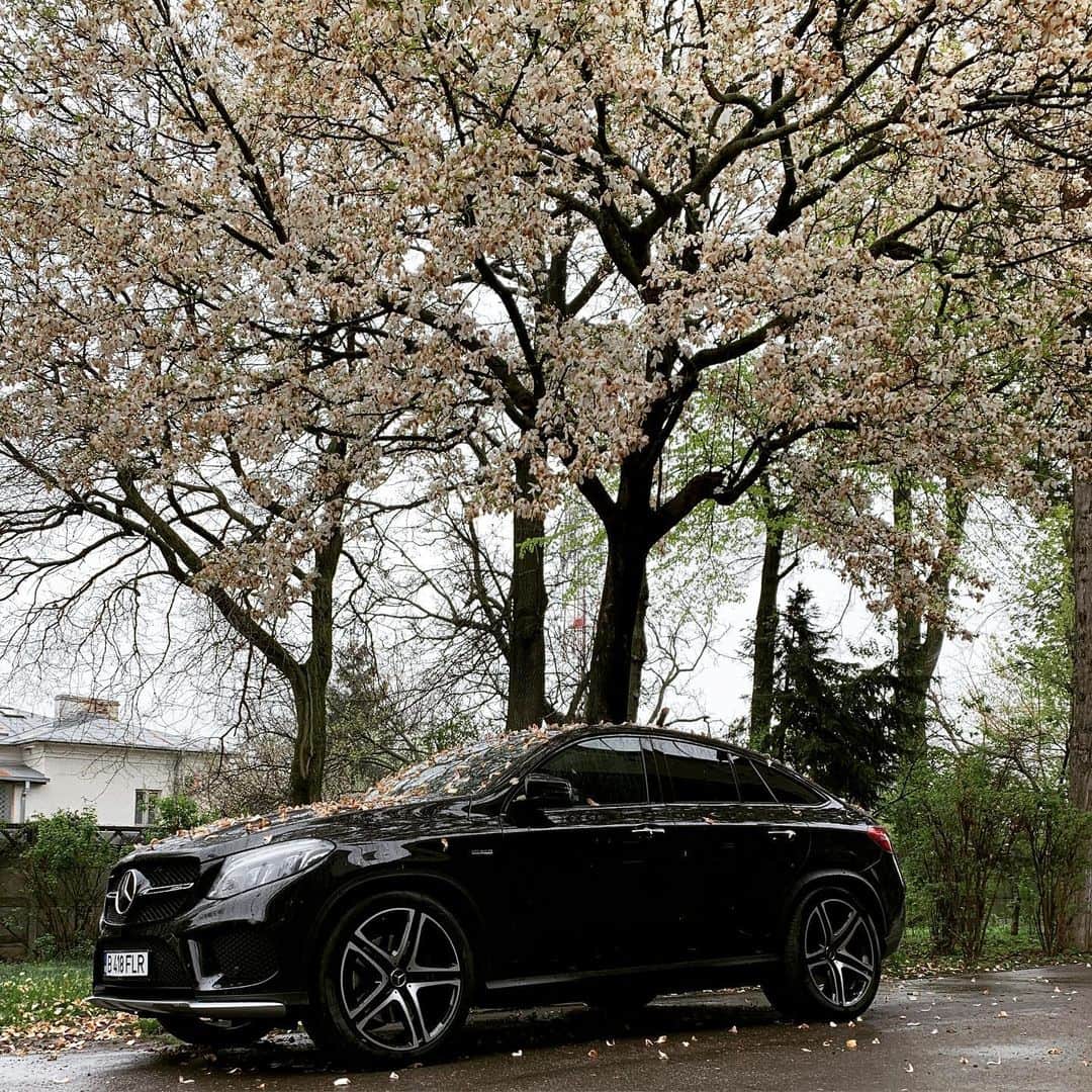 フローリン・ガルドシュさんのインスタグラム写真 - (フローリン・ガルドシュInstagram)「Spring, what a re-leaf 🍃 ⠀⠀⠀⠀⠀⠀⠀⠀⠀⠀⠀⠀⠀⠀⠀⠀⠀⠀⠀⠀⠀⠀⠀⠀⠀⠀⠀⠀⠀⠀⠀⠀⠀⠀⠀⠀⠀⠀⠀⠀⠀⠀⠀⠀⠀⠀⠀⠀⠀⠀⠀⠀⠀⠀⠀⠀⠀⠀⠀⠀⠀⠀⠀⠀⠀⠀⠀⠀⠀⠀⠀⠀⠀⠀⠀⠀⠀⠀⠀⠀⠀⠀⠀⠀⠀⠀⠀⠀⠀⠀⠀⠀⠀⠀⠀⠀⠀⠀⠀⠀⠀⠀⠀⠀⠀⠀⠀⠀⠀⠀⠀⠀⠀⠀⠀⠀⠀⠀⠀⠀⠀⠀⠀⠀⠀⠀⠀⠀⠀⠀⠀⠀⠀⠀⠀⠀⠀⠀⠀⠀⠀⠀⠀⠀⠀⠀⠀⠀⠀⠀⠀⠀⠀⠀⠀⠀⠀⠀⠀⠀⠀⠀⠀⠀⠀⠀⠀⠀⠀⠀⠀⠀⠀⠀⠀⠀⠀⠀⠀⠀⠀⠀⠀⠀⠀⠀⠀⠀⠀⠀⠀⠀⠀⠀⠀⠀⠀⠀⠀⠀⠀⠀⠀⠀⠀⠀⠀⠀⠀⠀⠀⠀⠀⠀⠀⠀⠀⠀⠀⠀⠀⠀⠀⠀⠀⠀⠀⠀⠀⠀⠀⠀⠀⠀⠀⠀⠀⠀⠀⠀⠀⠀⠀⠀⠀⠀⠀⠀⠀⠀⠀⠀⠀⠀⠀⠀⠀⠀⠀⠀⠀⠀⠀⠀⠀⠀⠀⠀⠀⠀⠀⠀⠀ ⠀⠀⠀⠀⠀⠀⠀⠀⠀⠀⠀⠀⠀⠀⠀⠀⠀⠀⠀⠀⠀⠀⠀⠀⠀⠀⠀⠀⠀⠀⠀⠀⠀⠀⠀⠀⠀⠀⠀⠀⠀⠀⠀⠀⠀⠀⠀⠀⠀⠀⠀⠀⠀⠀⠀⠀⠀⠀⠀⠀⠀⠀⠀⠀⠀⠀⠀⠀⠀⠀⠀⠀⠀⠀⠀⠀⠀⠀⠀⠀⠀⠀⠀⠀⠀⠀⠀⠀⠀⠀⠀⠀⠀⠀⠀⠀⠀⠀⠀⠀⠀⠀⠀⠀⠀⠀⠀⠀⠀⠀⠀⠀⠀⠀⠀⠀⠀⠀⠀⠀⠀⠀⠀⠀⠀⠀⠀⠀⠀⠀⠀⠀⠀⠀⠀⠀⠀⠀⠀⠀⠀⠀⠀⠀⠀⠀⠀⠀⠀⠀⠀⠀⠀⠀⠀⠀⠀⠀⠀⠀⠀⠀⠀⠀⠀⠀⠀⠀⠀⠀⠀⠀⠀⠀⠀⠀⠀⠀⠀⠀⠀⠀⠀⠀⠀⠀⠀⠀⠀⠀⠀⠀⠀⠀⠀⠀⠀⠀⠀⠀⠀⠀⠀ ⠀⠀⠀⠀⠀⠀⠀⠀⠀⠀⠀⠀⠀⠀⠀⠀⠀⠀⠀⠀⠀⠀⠀⠀⠀⠀⠀⠀⠀⠀⠀⠀⠀⠀⠀⠀⠀⠀⠀⠀⠀#spring #may #2019 #leafs #mercedesamg #amg #gle43amg #cars #carlover #mercedesbenzro #iasi #romania」5月16日 3時49分 - floringardos