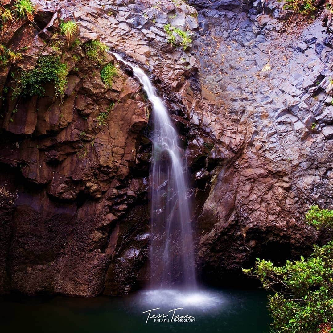 Ricoh Imagingさんのインスタグラム写真 - (Ricoh ImagingInstagram)「Beautiful tranquility captured by our #teampentax fan using her #pentaxk1.  @artwork_of_tess_taaca ©2019Artwork Of Tess Taaca #ArtworkOfTessTaaca」5月16日 4時09分 - ricohpentax