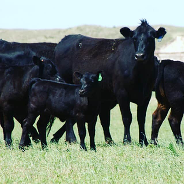かるび家 梅田店のグルメインスタ