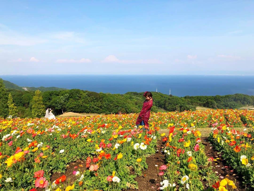 近藤夏子さんのインスタグラム写真 - (近藤夏子Instagram)「花さじきのポピー畑💐✨ 花畑の中にいるのは、私と、前撮り中のカップル👫 なんだろう。。 とても切ない気持ちだよ？笑 #花さじき #ポピー #花畑 #花嫁 #花婿 #👰🤵 #💁‍♀️」5月16日 15時26分 - kondonatsuko