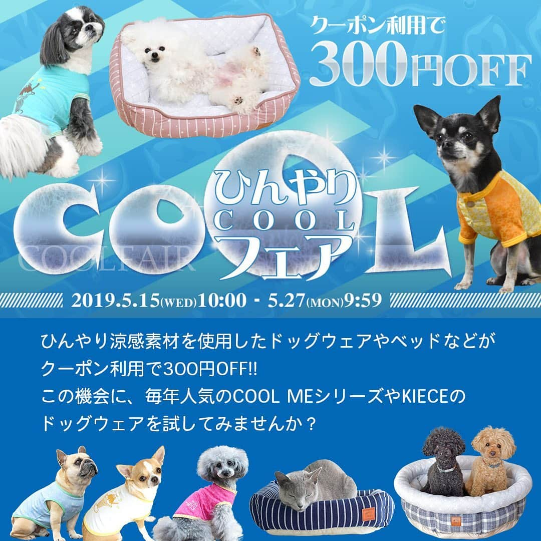 iDog&iCatのインスタグラム