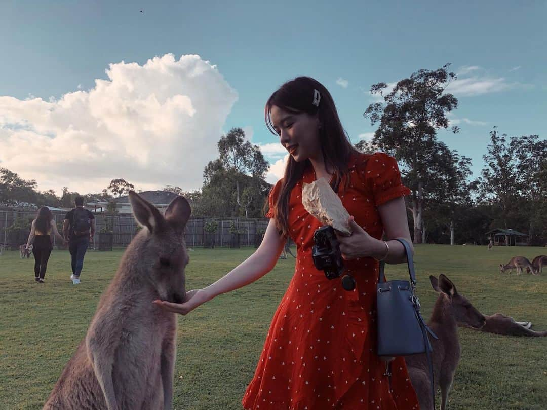 ハヌルさんのインスタグラム写真 - (ハヌルInstagram)「🦘🦘진짜 착하다 너 #하늘이의여행뿌셔☁️」5月16日 15時36分 - haneulina