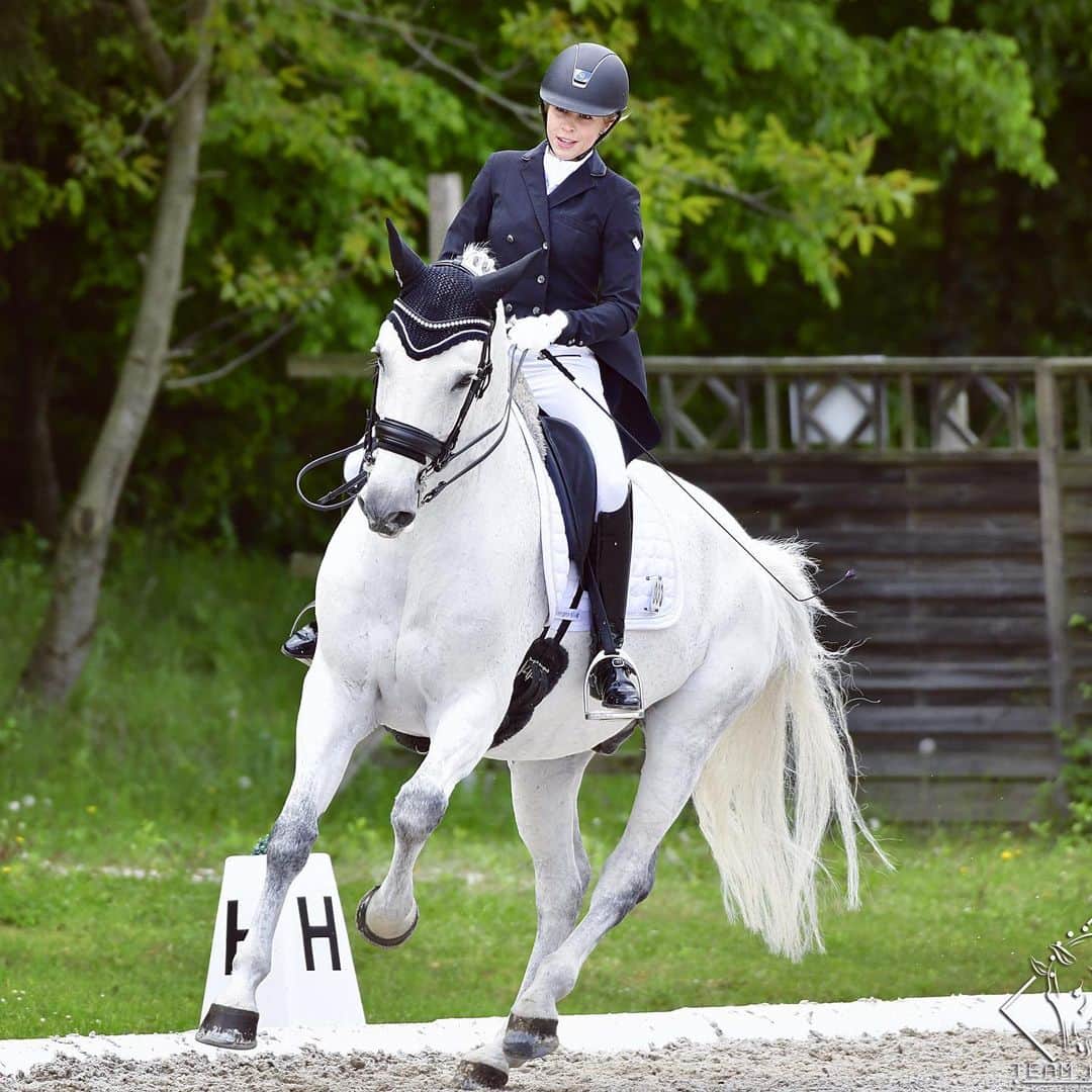Nina Neuerのインスタグラム：「Rückblick zum Wochenende🥰 Elioti war so schön zu reiten und schenkte uns zwei Inter 2 Platzierungen🏅 #happy #lovehim #eurostar_equestrian #werbung」