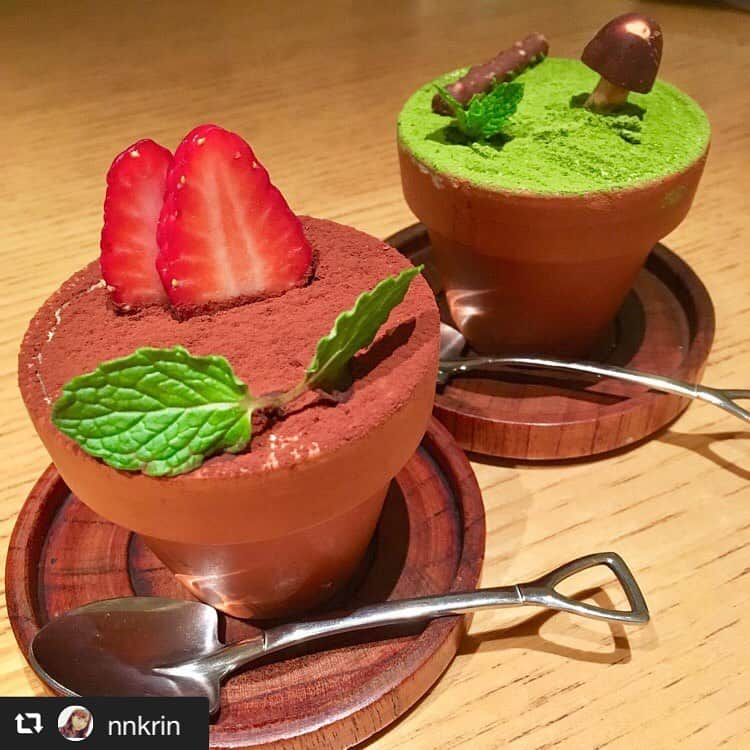 ハレノヒのインスタグラム：「#repost @nnkrin via @PhotoAroundApp  スコップ型のスプーンが 凝ってて可愛かった🌱💓 #ハレノヒ #カフェ #植木鉢 #デザート #スイーツ #休日 #新宿 #ルミネエスト #cafe #dessert #sweets @nnkrin様 ご来店ありがとうございます😊お写真も嬉しいです♪ #ここでしか食べられない#フラワーポット#ケーキ#かわいい#cafe#cute#harenohi#tokyo#shinjuku#lumineest#flowerpot#cake#sweets」