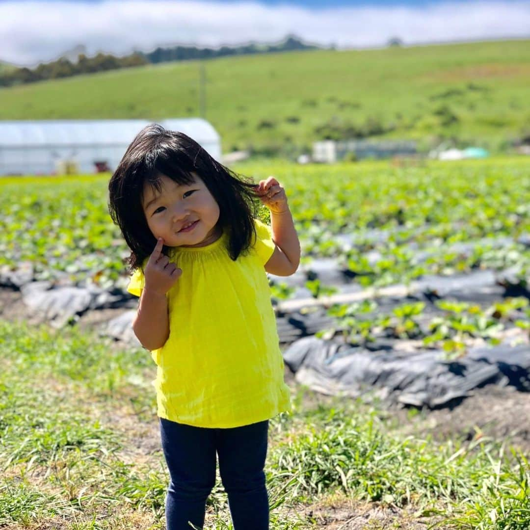 香山ひとみのインスタグラム