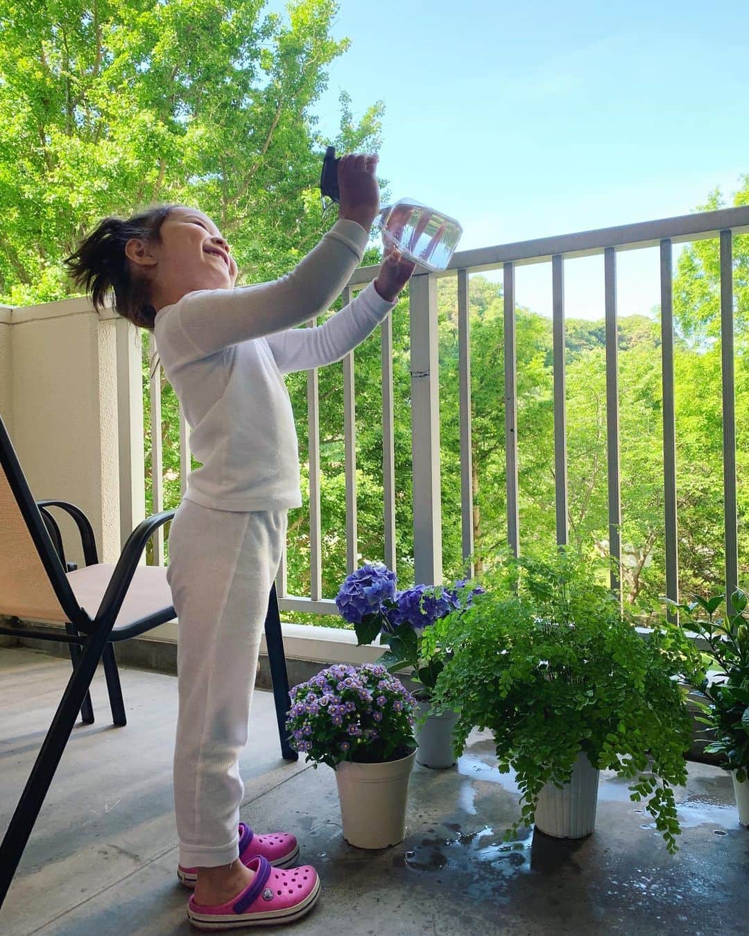 バイリンガル3兄妹のインスタグラム：「おはようございます☀ ・ お花に水をあげたら 最終的に空に向かって霧吹き そして全身にミストを浴びて満足する おはなさんです。😂 ・ 久しぶりに朝から晴れてて気持ちいい♡ ・ ・ ところで… 右手前にあるふわふわの葉っぱの植物。 なんて名前かわかる人いますか？ ・ 少しでも乾燥すると葉がカリカリになってダメになっちゃうそうで、ハムスターのおこめちゃんと同じくらい手をかけて可愛がってます😂 ・ それなのにふわふわで柔らかかった葉が少し硬くなってきてしまったーー ・ 所々チリチリし始めてるところも… ・ 植物もなかなか難しいね… ・ ・ 皆さま、良い1日を♡ ・ ・ #はなち #4歳 #紫陽花 #バイリンガル3兄妹」
