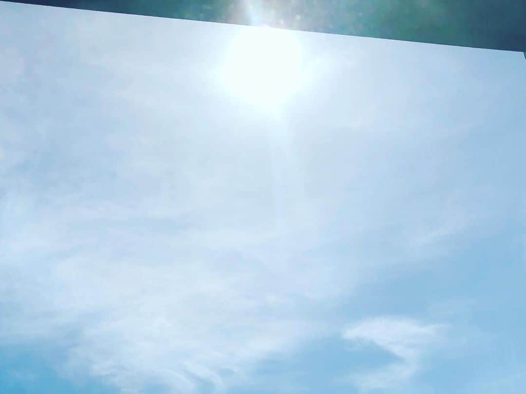 倉田雅世さんのインスタグラム写真 - (倉田雅世Instagram)「おはようございます 大阪の朝は晴れ。 すでに暑い！ みなさま、いい一日を♪」5月16日 8時52分 - kuralamune