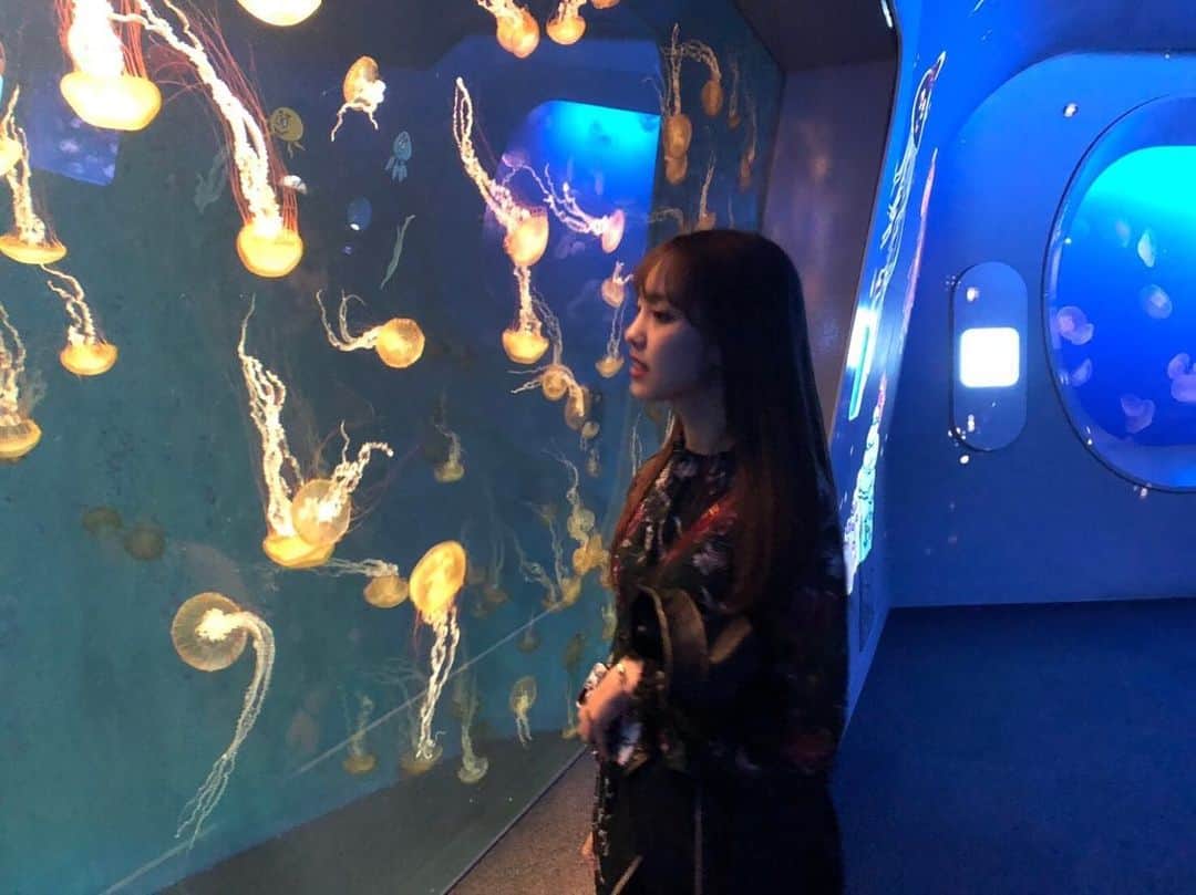 飯窪春菜のインスタグラム：「海月💍  #新江ノ島水族館  #おでかけ  #はるなの毎日  #飯窪ってる」