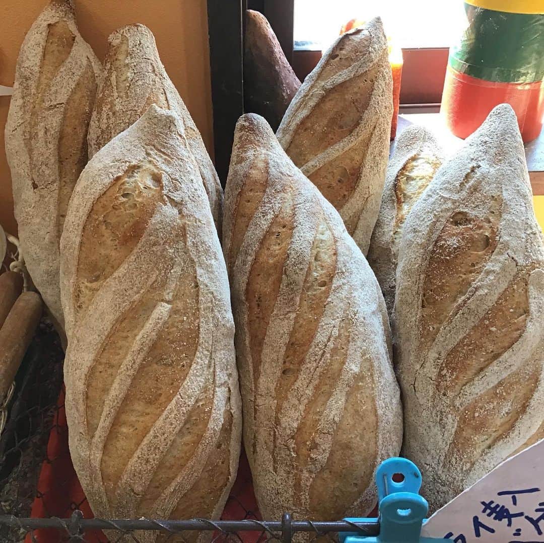 魔女菅原のグルメインスタ