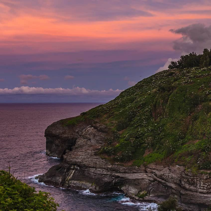 アメリカ内務省さんのインスタグラム写真 - (アメリカ内務省Instagram)「Kīlauea Point National #WildlifeRefuge offers unsurpassed views of the #Pacific with steep cliffs that drop dramatically to meet the ocean. It’s also one of the best places on the main Hawaiian Islands to view wildlife, as it’s home to some of the largest populations of nesting #seabirds. Those white dots? Yes, that’s them, settling down for the evening. In addition to the nesting birds, visitors have a chance to view spinner dolphins, Hawaiian monk seals, native Hawaiian coastal plants and #Hawai'i’s state bird - the nēnē or endangered Hawaiian goose. Pic courtesy of Louie C. (@lycheng99).」5月16日 10時03分 - usinterior