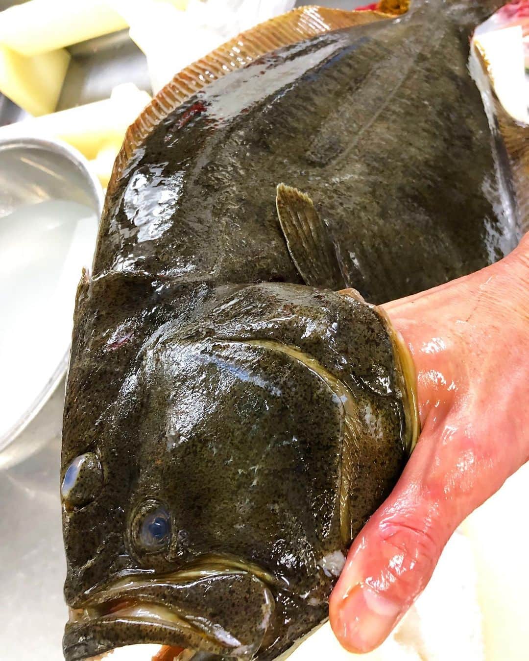 寿司居酒屋 番屋のグルメインスタ