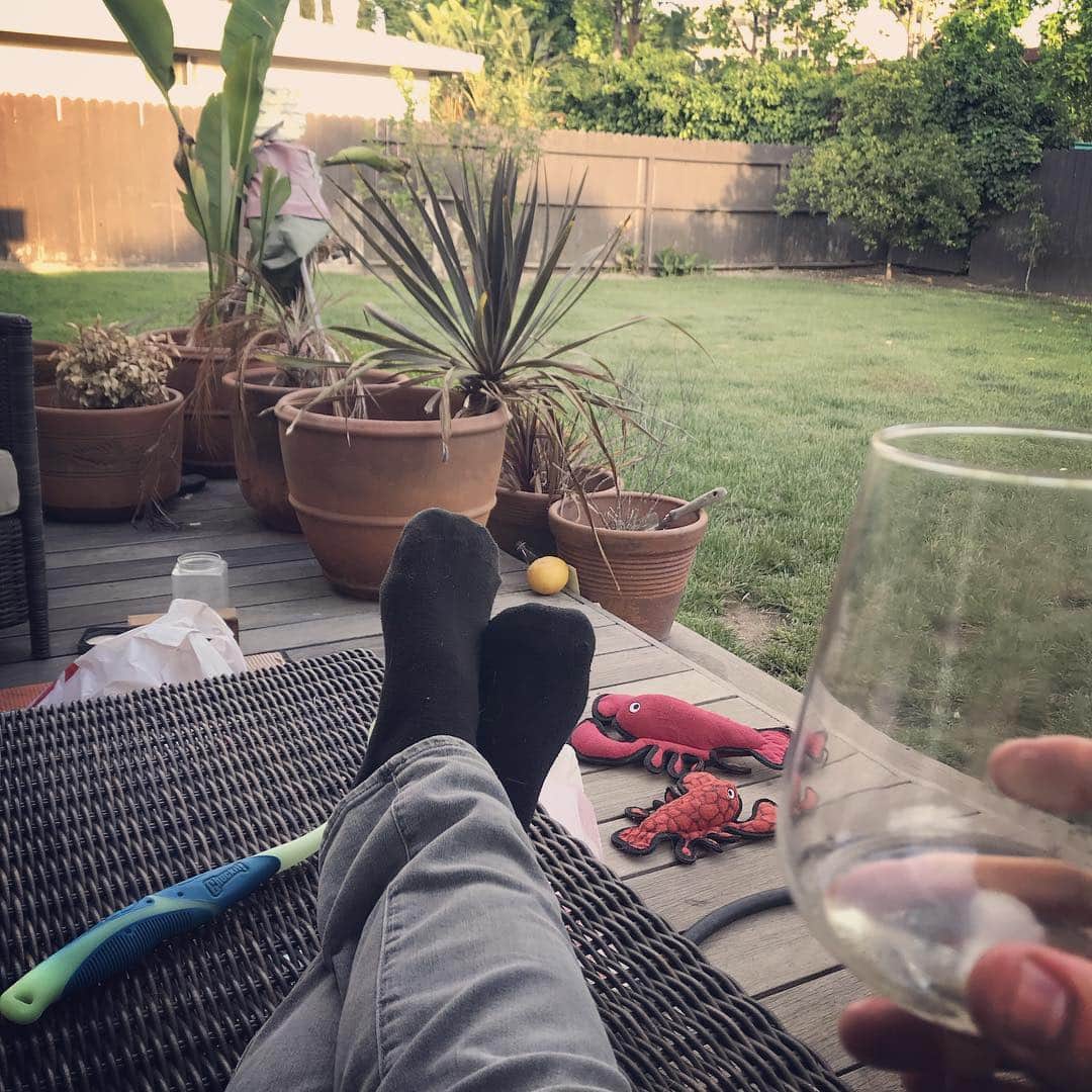 マイケル・グラント・テリーのインスタグラム：「Just an evening glass with me and my lobsters」