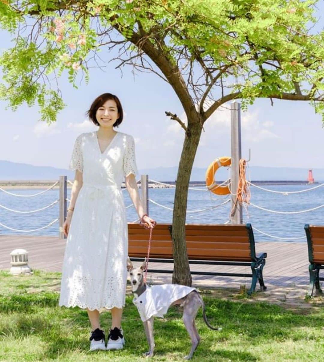 のインスタグラム：「* ******** Summer mood☀️ * 偶然すれ違った素敵な紳士が写真を撮ってくださいました📷 翌日は娘さんの結婚式だそう。 こんな素敵な写真を撮ってくださる方がお父様なら、娘さんの結婚式も、幸せいっぱいな写真をたくさん撮れるんだろうなぁ…ありがとうございました🙇‍♀️💕 Photo by @vv0724vv_mark6 ******** #イタグレ#イタリアングレーハウンド#italiangreyhound#dogstagram#イタグレとの暮らし#iggy#iggygram #iggylove#iggylife#いぬのいる暮らし#犬のいる暮らし#いぬバカ部#イタグレ服#iggysoftheworld #iggysofinstagram #dogsofig #dogsofinstagram #プチプラコーデ #犬好きな人と繋がりたい#オシャレさんと繋がりたい#犬服ハンドメイド#リンクコーデ#大分県#oita#おんせん県#おんせん県おおいた#oita_pride #oitagram#oitaprefecture」