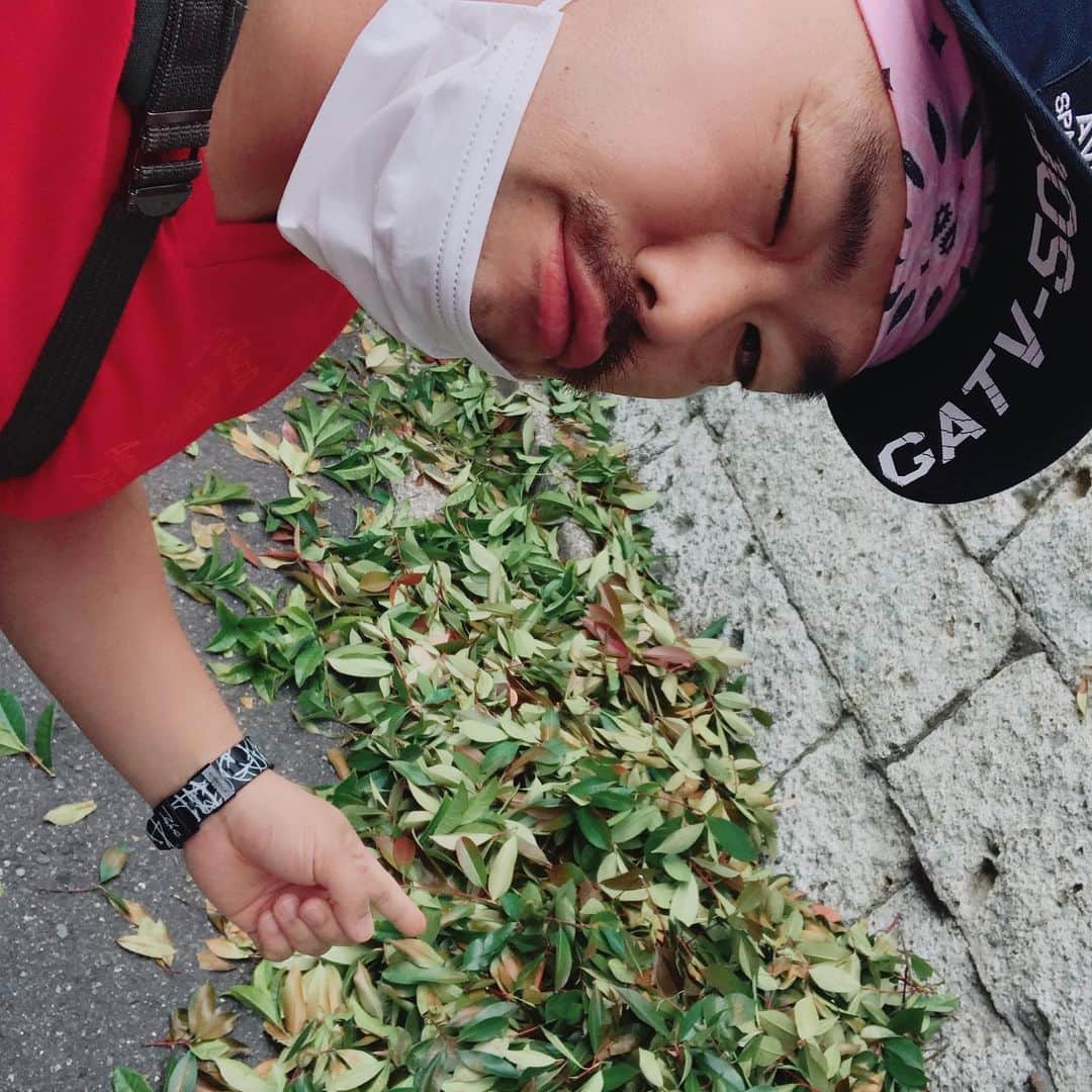 クロちゃんさんのインスタグラム写真 - (クロちゃんInstagram)「落ち葉がたくさん落ちてるからその中にお芋無いか、探しちゃったしんよー♪」5月16日 12時14分 - kurochandesuwawa
