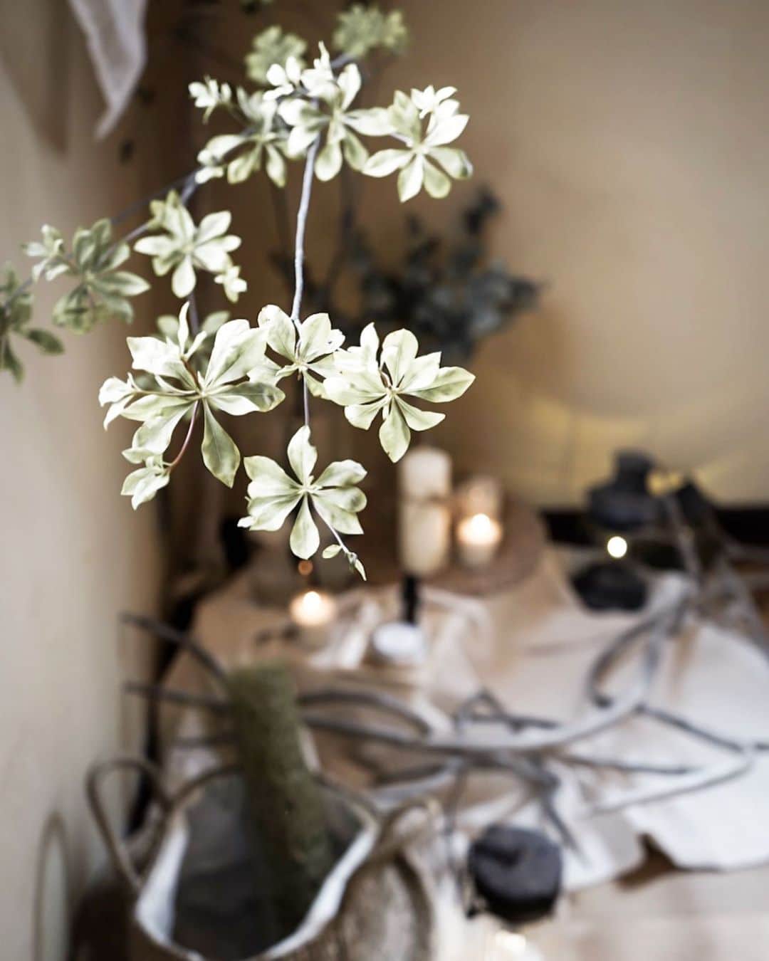 島野ミキのグルメインスタ