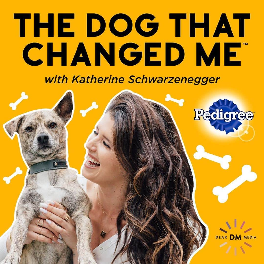 クリス・プラットさんのインスタグラム写真 - (クリス・プラットInstagram)「Love all things dogs? Be sure to download the first five episodes of (future Mrs Pratt) @katherineschwarzenegger podcast! Spoiler alert my best buddy and JurassicWorld co-star @brycedhoward is one of the guests! AMAZING!!! The others include @mandymooremm @minkakelly and  @haylieduff don’t miss it!  Click the link in Katherine’s Bio!👍🏼」5月16日 13時16分 - prattprattpratt