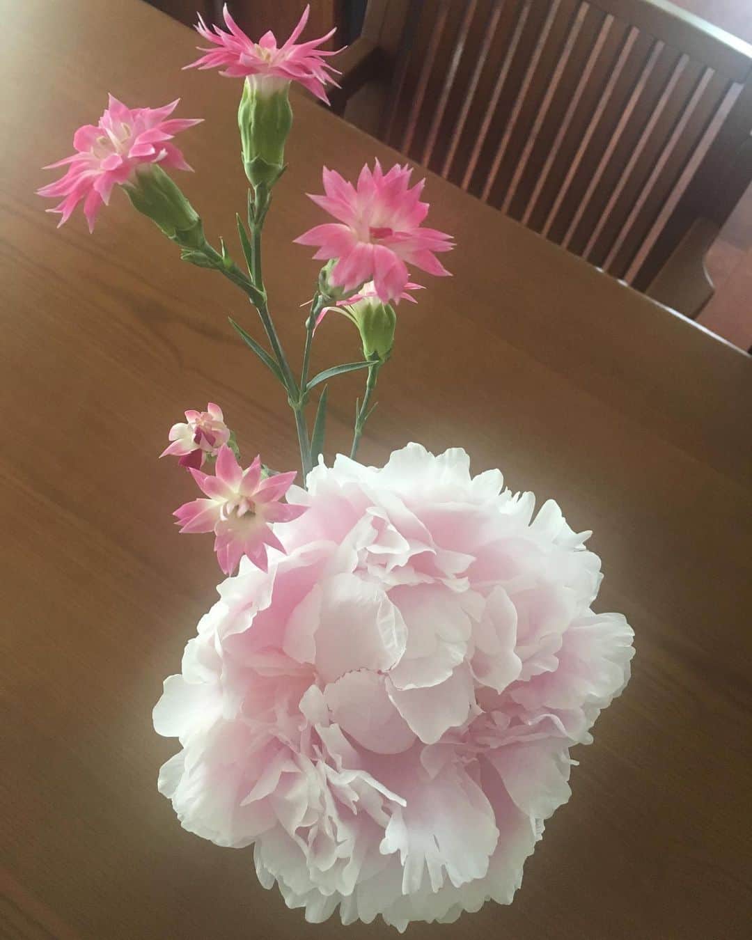 川江美奈子さんのインスタグラム写真 - (川江美奈子Instagram)「なんにも加工しなくても こんなに可愛い。  ねぇずっと咲いてる？いつまで咲いてる？ と娘にきかれて そうねぇそんなには咲いてないかも 枯れちゃうからいいんだよ、 とこたえてから、なんかその答えに自分でモヤッとした。おばさんが知ったようなこと言って。ほんとにそうか？ だってずっと咲いててほしいもの。  #娘たちがくれたお花」5月16日 13時24分 - minakokawae