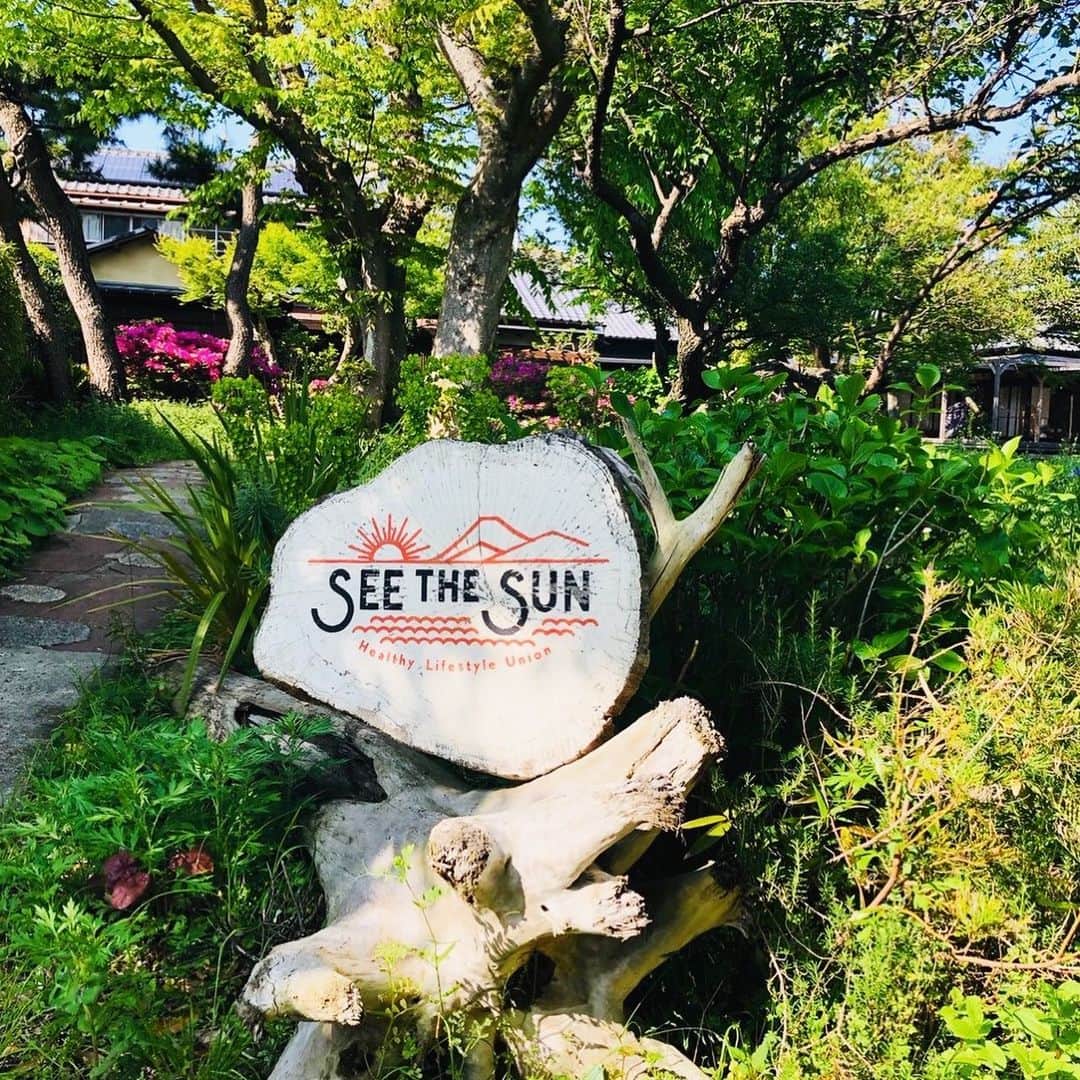 森永製菓のインスタグラム：「* 仕事でシーザサン葉山オフィスに立ち寄りました。 . 都心のオフィスとは大違い… なんでしょう… この解放感と自然。 . これから花を咲かせるアジサイの葉が生い茂り、 軒先には梅の実が転がっています。 . 心がすっきりした気分になりました。 . シーザサンの一部商品は、 森永製菓オンラインショップでも ご購入いただけます。 #ゼンミート #zenmeet #玄米入り大豆ミート . #森永 #森永製菓 #morinaga #seethesun #シーザサン #シーザサン葉山 #解放感 #自然 #自然に囲まれた空間 #オフィス #心 #すっきり . @seethesun_inc」