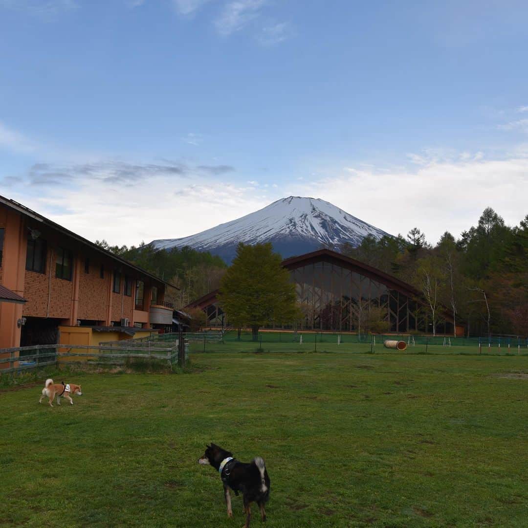 がんちゃんのグルメインスタ