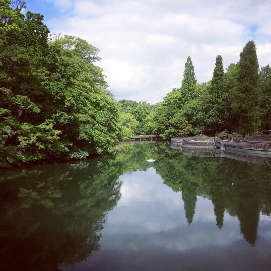 松田洋治さんのインスタグラム写真 - (松田洋治Instagram)5月16日 14時59分 - youjimat