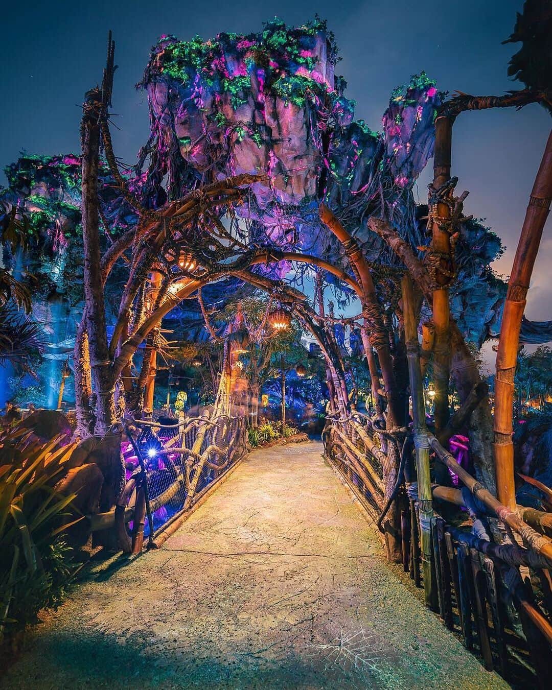 Walt Disney Worldのインスタグラム：「Adventures await in the Valley of Mo'ara. #DisneyAfterDark #AnimalKingdom (📷: @somewareatdisney)」
