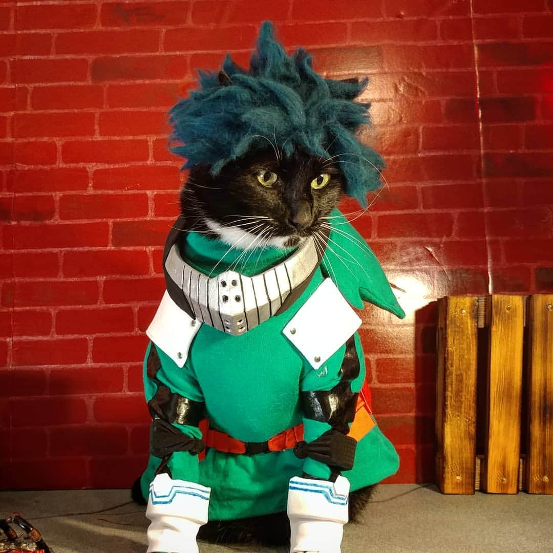 猫コスプレさんのインスタグラム写真 - (猫コスプレInstagram)「It may be easier to follow the paths that others have carved before. But until you carve a path, the way will never be your own.  #MyHeroAcademia #Midoriya #Deku . . . . . . #bnha #bnhacosplay #bokunoheroacademia #BokunoHiroAkademia #mha #mhacosplay #mhafanart #myheroacademiacosplay #dekufanart #dekucosplay #midoriyacosplay #IzukuMidoriya #catcostume #CatCosplay #cosplay #anime #animecosplay」5月17日 1時54分 - cat_cosplay