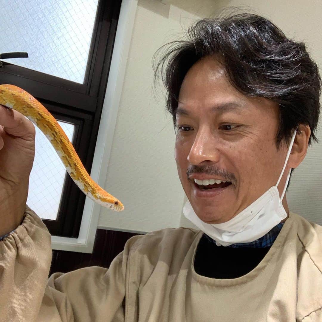 椎名桔平さんのインスタグラム写真 - (椎名桔平Instagram)「#ヘビ  近所に動物カフェがありまして、行ってみました。獣医さんの役をやる時には役立ちそう〜^_^」5月17日 0時27分 - kippeishiina