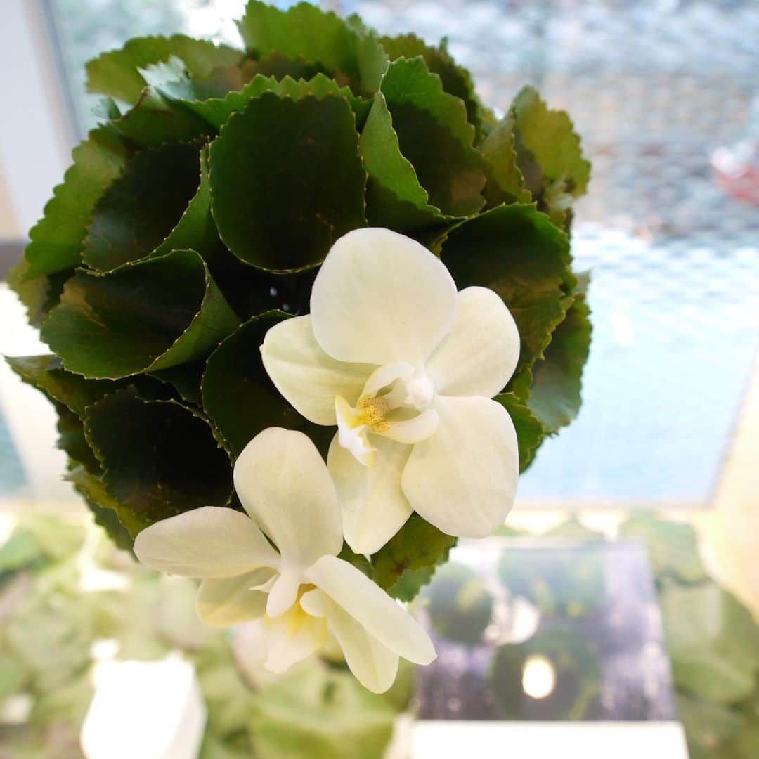 マイナビウエディング ジュエリーのグルメインスタ