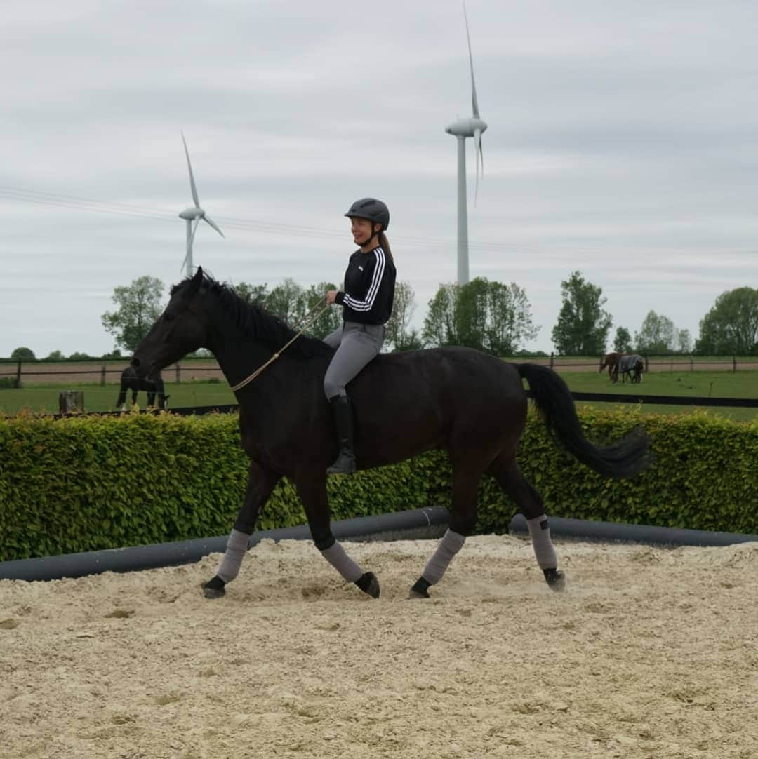 ジーナ・ルケンケムペルさんのインスタグラム写真 - (ジーナ・ルケンケムペルInstagram)「Schön wieder zuhause zu sein 🐴❤ 📸 @gina.grothoff  #teamlueckenkemper #creator #neverdone #heretocreate #adidas #adidasfamily #picasso841 #picipony #equestrian #horse」5月17日 1時26分 - ginalueckenkemper