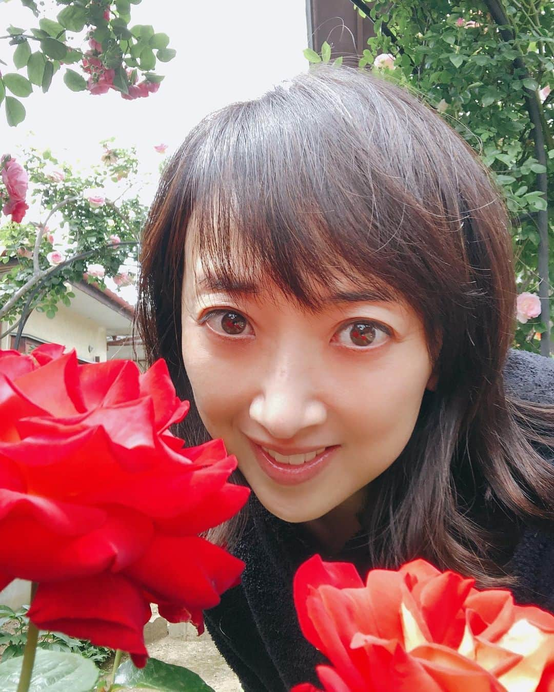 紫吹淳さんのインスタグラム写真 - (紫吹淳Instagram)「久しぶりの実家、庭の薔薇に癒されました〜」5月16日 17時03分 - jun_shibuki_official