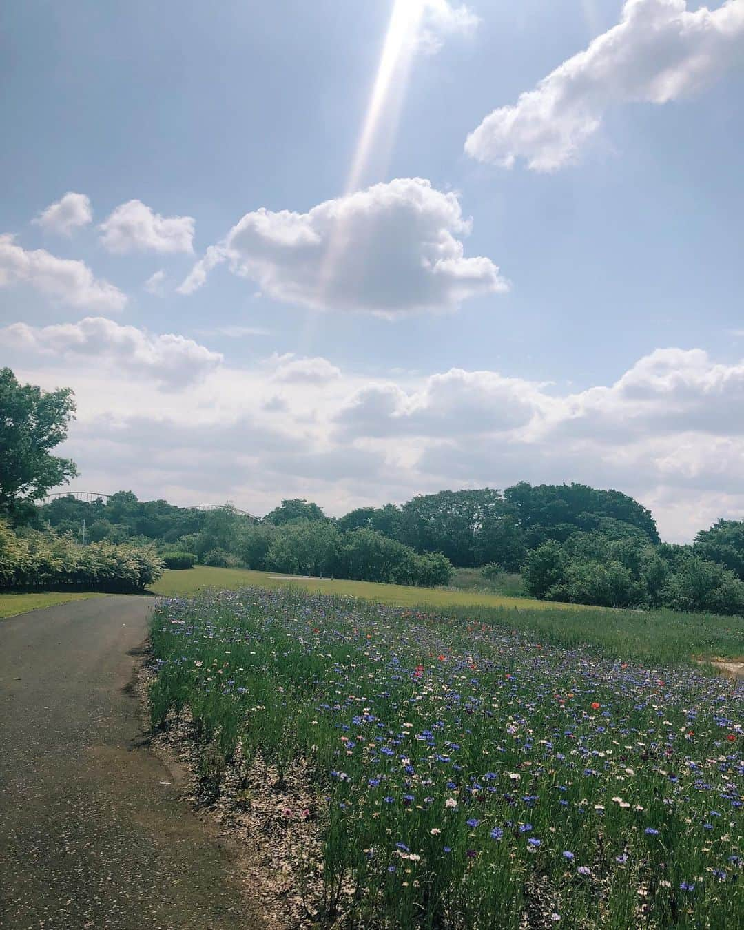 小島梨里杏さんのインスタグラム写真 - (小島梨里杏Instagram)「昨日川越のとある公園にて オールアップしました🌳⛲️ . 今回とっても天気に恵まれて みんな、持ってるね〜と 監督もにこにこでした。幸。🌞✌︎ . ご縁を感じる物語、はじめての感覚、 またひとつ大切な作品が増えました。  公開までしばしお待ちを、です。」5月16日 17時04分 - r_riria