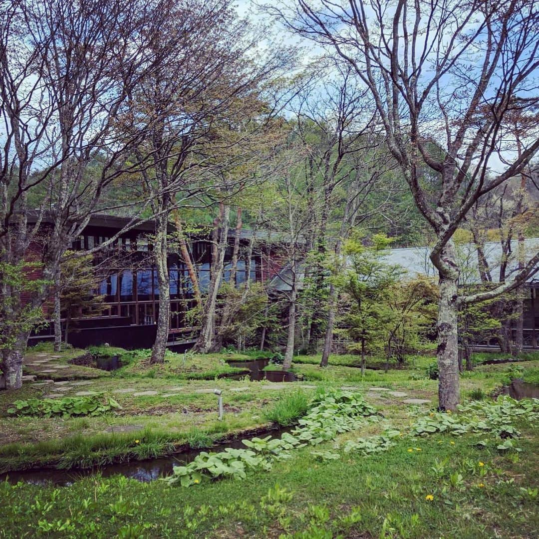 のインスタグラム：「木々が芽吹き、若々しい黄緑色に色づく#軽井沢 🌱 #星のや軽井沢 では、小さな花たちが可憐な表情を見せてくれています🌸 . #FRaU #星野リゾート @hoshinoresorts.official」