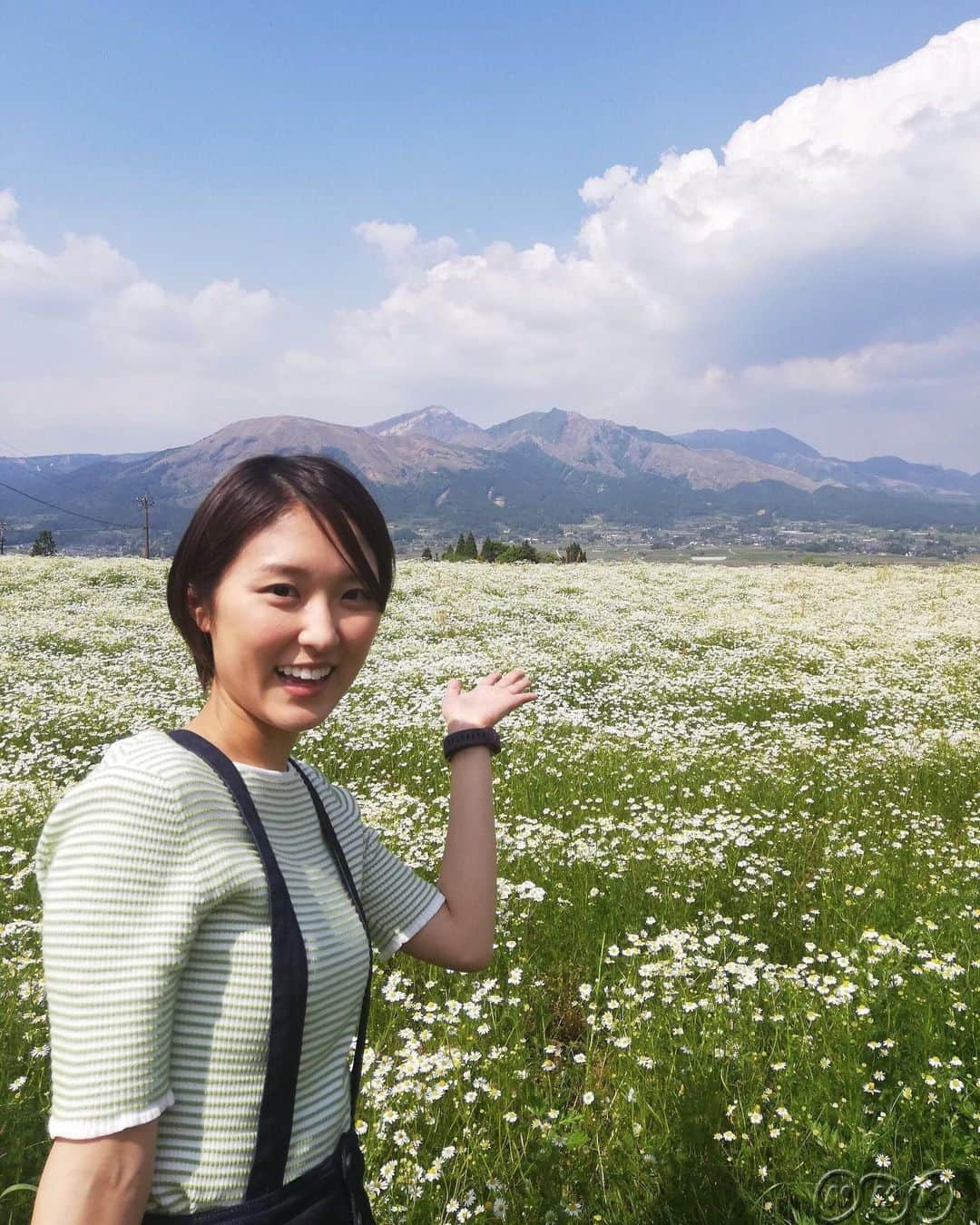 あさイチさんのインスタグラム写真 - (あさイチInstagram)「おうみです。熊本の南阿蘇村へ行ってきました！地震から３年、観光に来てもらうことが励みになると地元の方々はおっしゃっていました。草原でのんびり放牧されているあか牛を見ると、何とも癒やされます。夏休みの旅行先に、おすすめです✨✨ #熊本 #南阿蘇村 #阿蘇 #観光  #あか牛 #牛 #🐂 #ソフトクリーム #ソフトクリーム食べたい #🍦 #近江友里恵 アナ #nhk #あさイチ #8時15分から」5月16日 17時37分 - nhk_asaichi