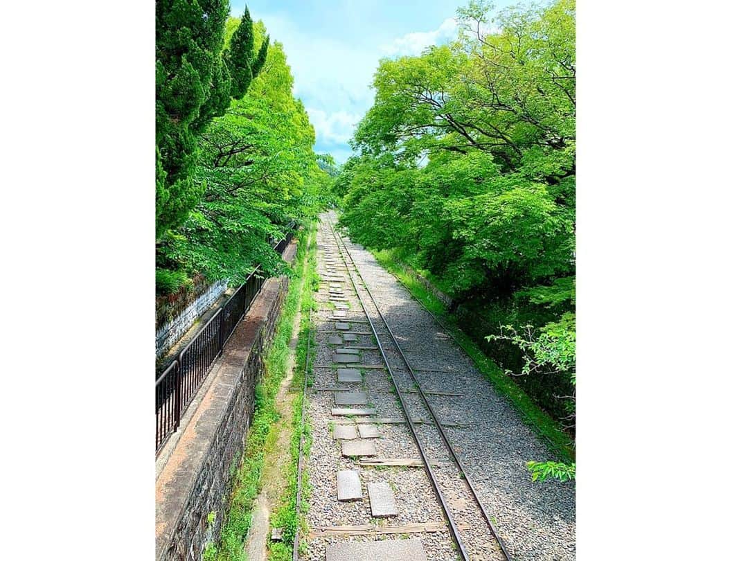 百合華さんのインスタグラム写真 - (百合華Instagram)「京都の蹴上辺りを散策してきました🎶﻿ ﻿ お手入れが行き届いた新緑の日本庭園に美しく咲き誇る紫色のカキツバタを眺めつつ、ゆったりと流れる時間に暫し身を委ねながらの日光浴タイム🥰﻿ ﻿ 錦鯉さん達も気持ち良さげに泳いではりました🎶﻿ ﻿ 今日もとっても良いお天気で絶好のお散歩日和だったな❤️﻿ ﻿ #京都﻿ #蹴上﻿ #蹴上インクライン﻿ #散策﻿ #お散歩﻿ #お散歩日和﻿ #カキツバタ﻿ #新緑﻿ #日光浴﻿ #錦鯉﻿ #気持ち良い」5月16日 18時06分 - yurika.lovelily