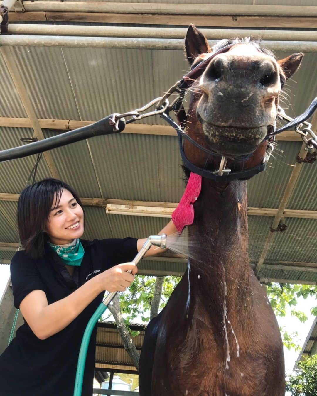 秋吉織栄（宮内かれん）さんのインスタグラム写真 - (秋吉織栄（宮内かれん）Instagram)「馬ウォッシュ🐴💦💦 夏場はこうやって丸洗いするんですって❣️❣️ 初丸洗い😊✨✨✨ ノルちゃん、ちょっと面白い顔になっちゃってるけど（笑）  可愛いな〜〜〜〜😆💕 いつも乗せてくれてありがとう🐎❤️ 頑張ります❣️❣️ #馬  #horse  #horseriding  #乗馬  #乗馬女子」5月16日 18時01分 - orie.oliiiiie.olivia