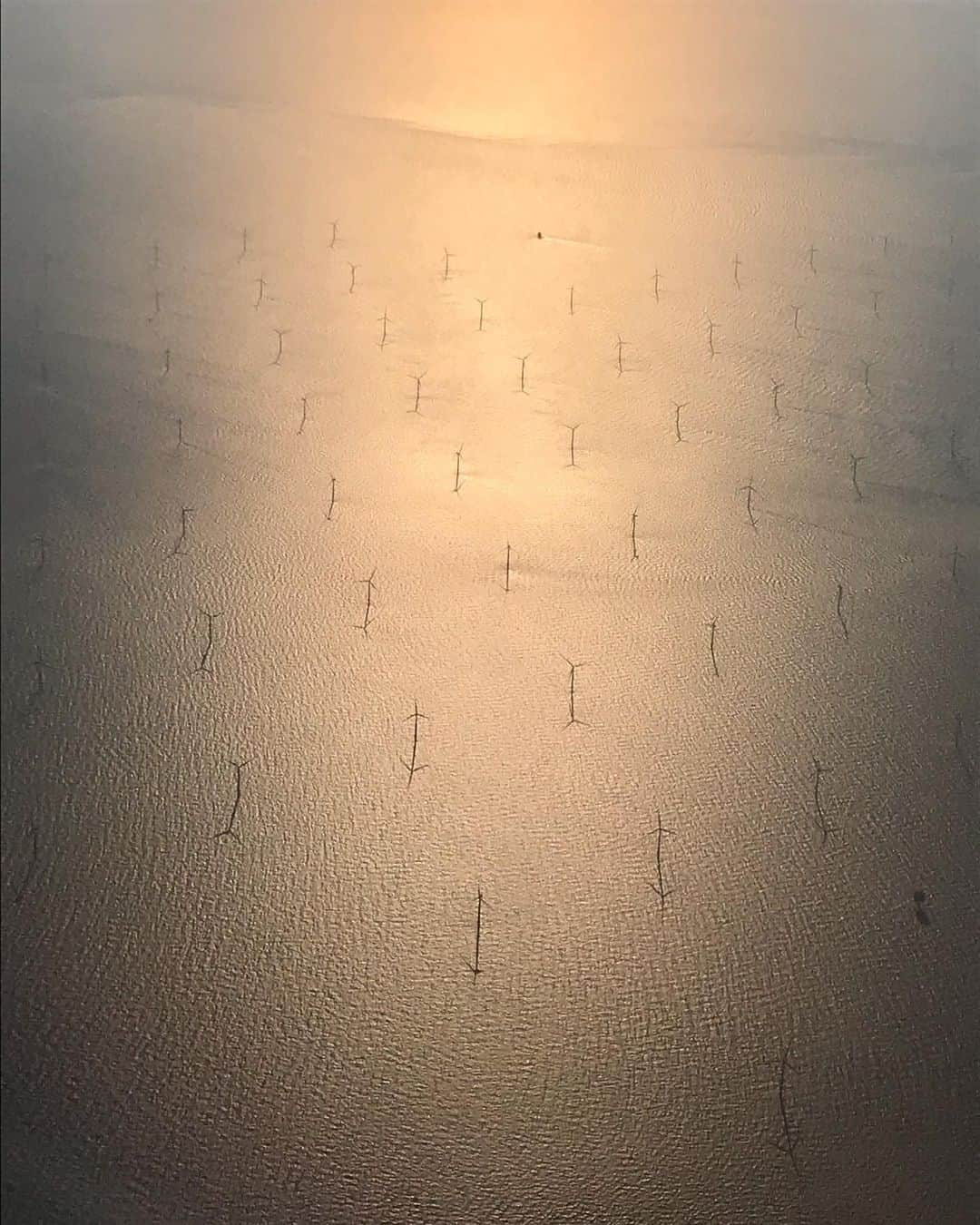 カトリナ･バルフさんのインスタグラム写真 - (カトリナ･バルフInstagram)「Turbines and Shadows .... #seethebeautyeveryday」5月16日 18時34分 - caitrionabalfe