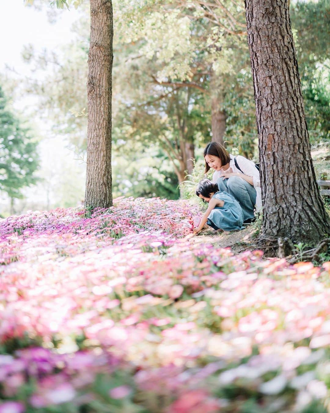 fuka_09さんのインスタグラム写真 - (fuka_09Instagram)「﻿ Little princess 𓅪 *.·﻿ ﻿ swipe ▷﻿ ﻿ ﻿ ﻿ この時期の明石海峡公園って﻿ お花で溢れていて好きなんです﻿ 行ってみてください＊」5月16日 18時50分 - fuka_09