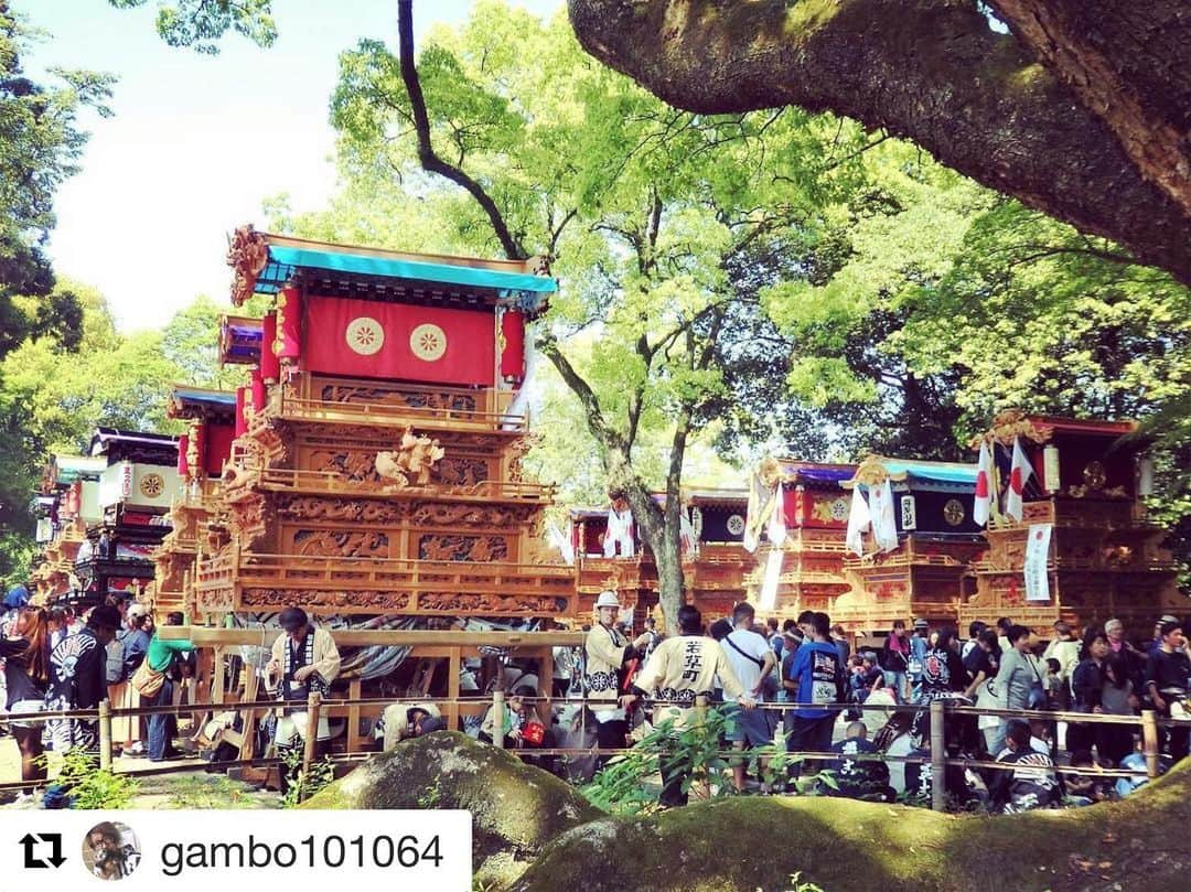 西条市さんのインスタグラム写真 - (西条市Instagram)「Repost @gambo101064 with @get_repost﻿ ・・・﻿ 5月4日は、新帝陛下の御即位を奉祝するために、伊曽乃氏子の家躰53台が運行されました。﻿ 秋の例大祭で奉納される楽車・御輿が80余台とされているので、半分以上もの屋台がこの季節に集結したことになります。﻿ ﻿ #だんじり #西条祭り #西条まつり #天皇陛下万歳 #奉祝 #天皇陛下御即位 #伊曽乃神社 #lovesaijo #lovesaijoポスター﻿ ﻿ ﻿ ﻿ ﻿ きっと二度と見れない景色﻿ ﻿ 5月4日、令和への改元を祝し、だんじりが奉祝奉納されました。﻿ ﻿ だんじりいっぱい﻿ ニコニコウキウキ。﻿ ﻿ #西条市 #いよ西条 #伊予西条 #愛媛 #四国 #瀬戸内 #せとうち #Ehime #Shikoku #Setouchi #inaka #田舎暮らし #愛媛旅行 #四国旅行﻿ ﻿ ★フォトコンテスト実施中★﻿ 詳しくはプロフィールページのストーリーとリンクをチェック！どしどし応募してんよ～﻿」5月16日 18時55分 - lovesaijo