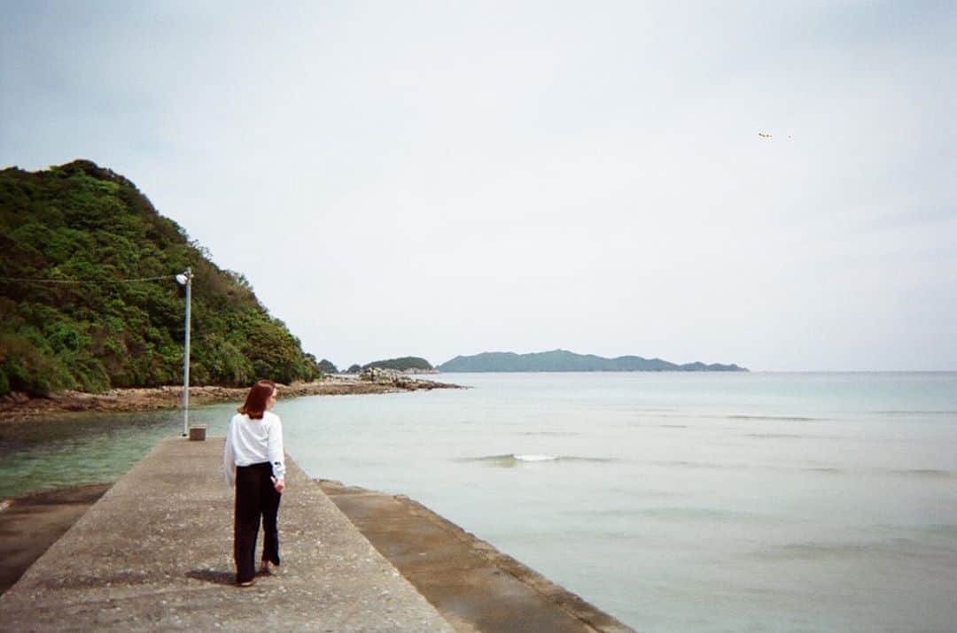 西本早希のインスタグラム：「・ 🐚 写ルンです」