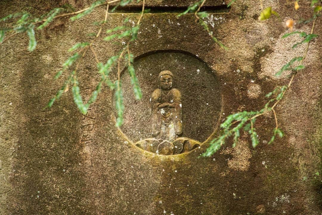 鹿児島よかもん再発見さんのインスタグラム写真 - (鹿児島よかもん再発見Instagram)「湧水町の日添磨崖仏へ(^-^)/ 寛文４年(1664)12月11日の刻字がある阿弥陀像で、それ以外の情報はなく謎につつまれているそう。  山奥の林道からさらに数十m森林に入った所にある大きな岩石群のひとつに刻まれています。  磨崖仏の前に広がる森林や小川も心地よい場所です(ノ´∀｀*) 場所については後日、鹿児島よかもん再発見！のサイトでご紹介する予定m(__)m  #鹿児島 #鹿児島観光 #鹿児島の風景 #鹿児島の自然 #湧水町 #湧水町観光 #磨崖仏 #日添磨崖仏 #森林認証sgecpefcフォトコン  #森林認証sgecpefcフォトコン2019  #カメラブ」5月16日 19時13分 - kagoshimayokamon